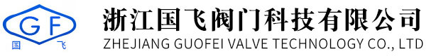 浙江國(guó)飛閥門科技有限公司